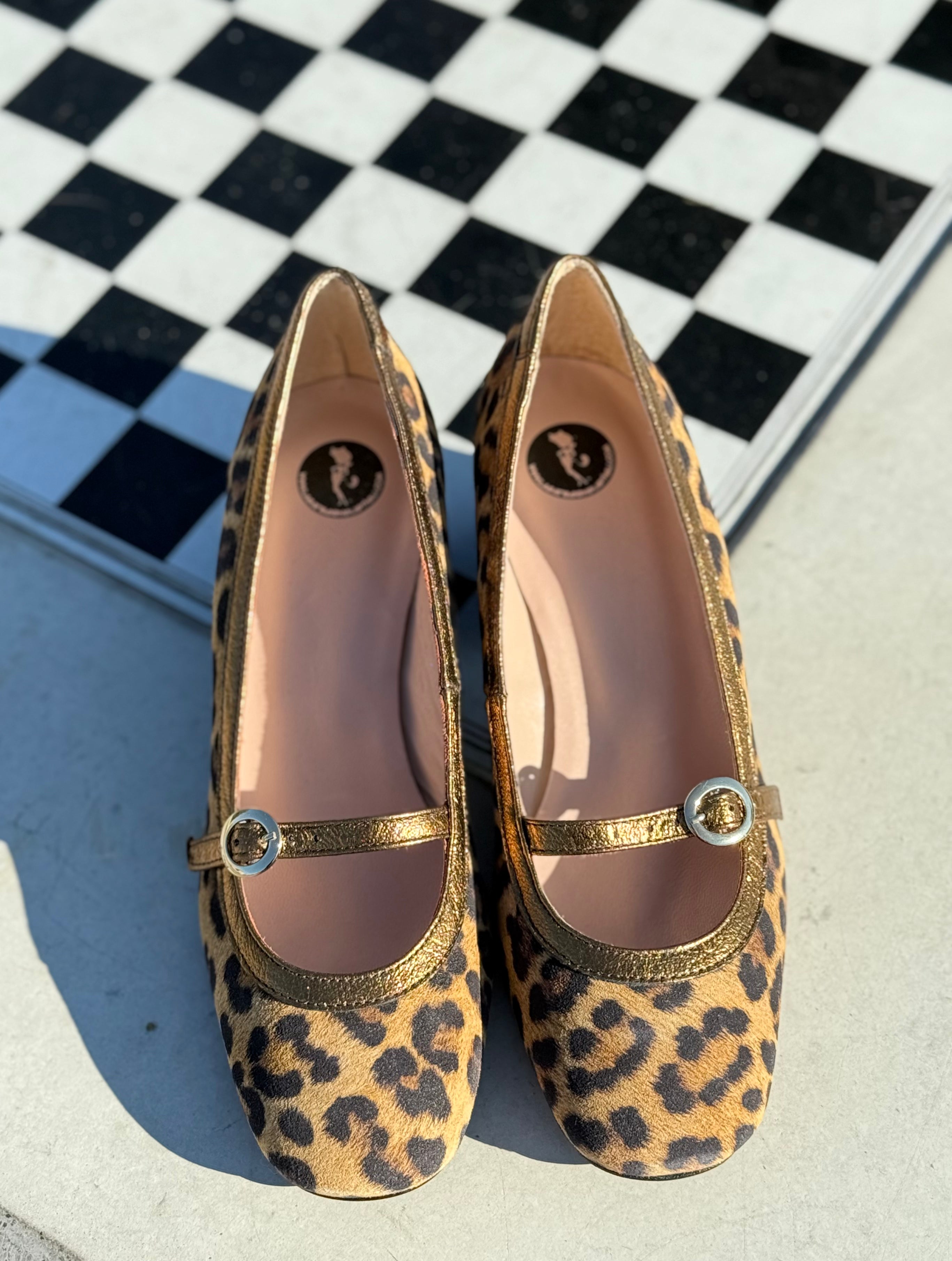 La Gatta Con Gli Stivali